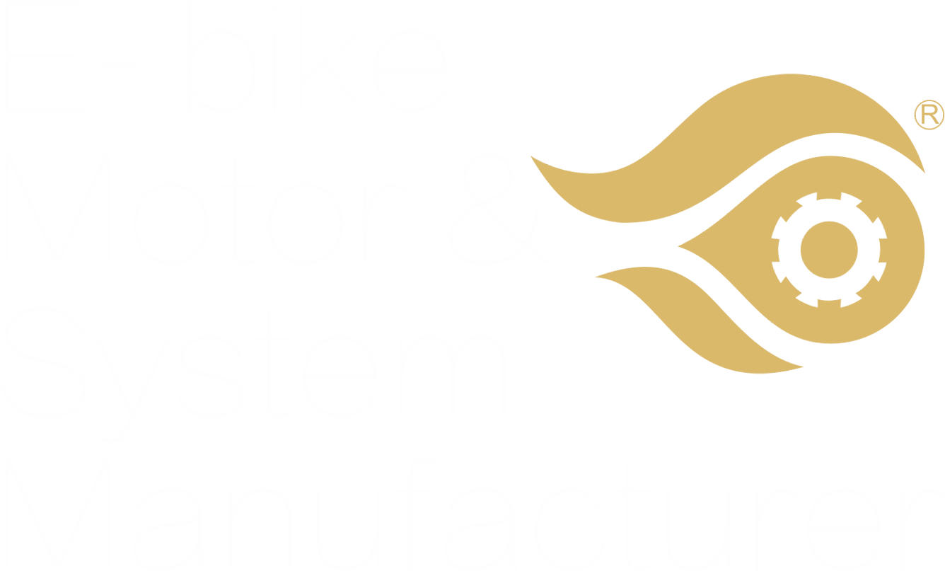  E-bike motor and System Manufacturer 