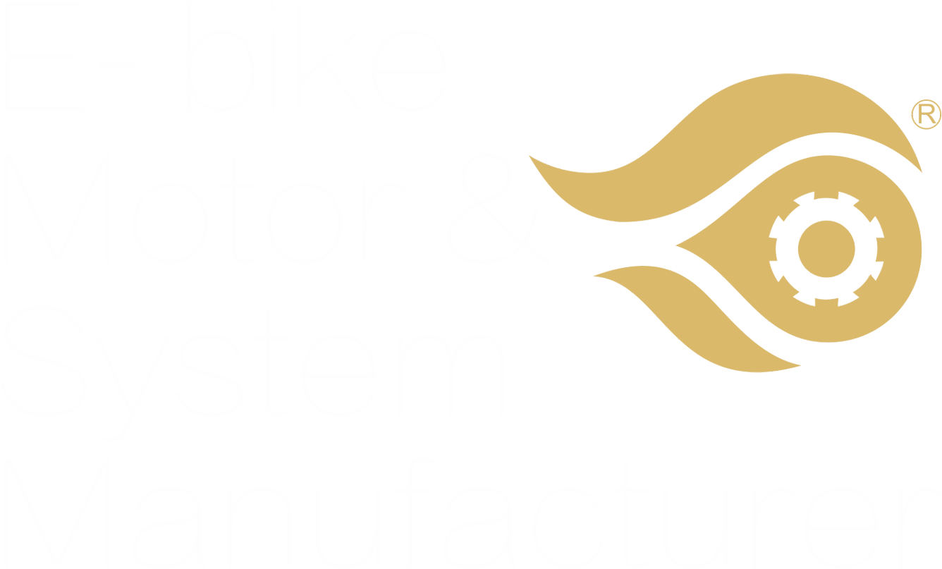E-bike motor and System Manufacturer