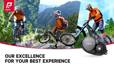 Mountainbiker - Preeto P110 E Drive system