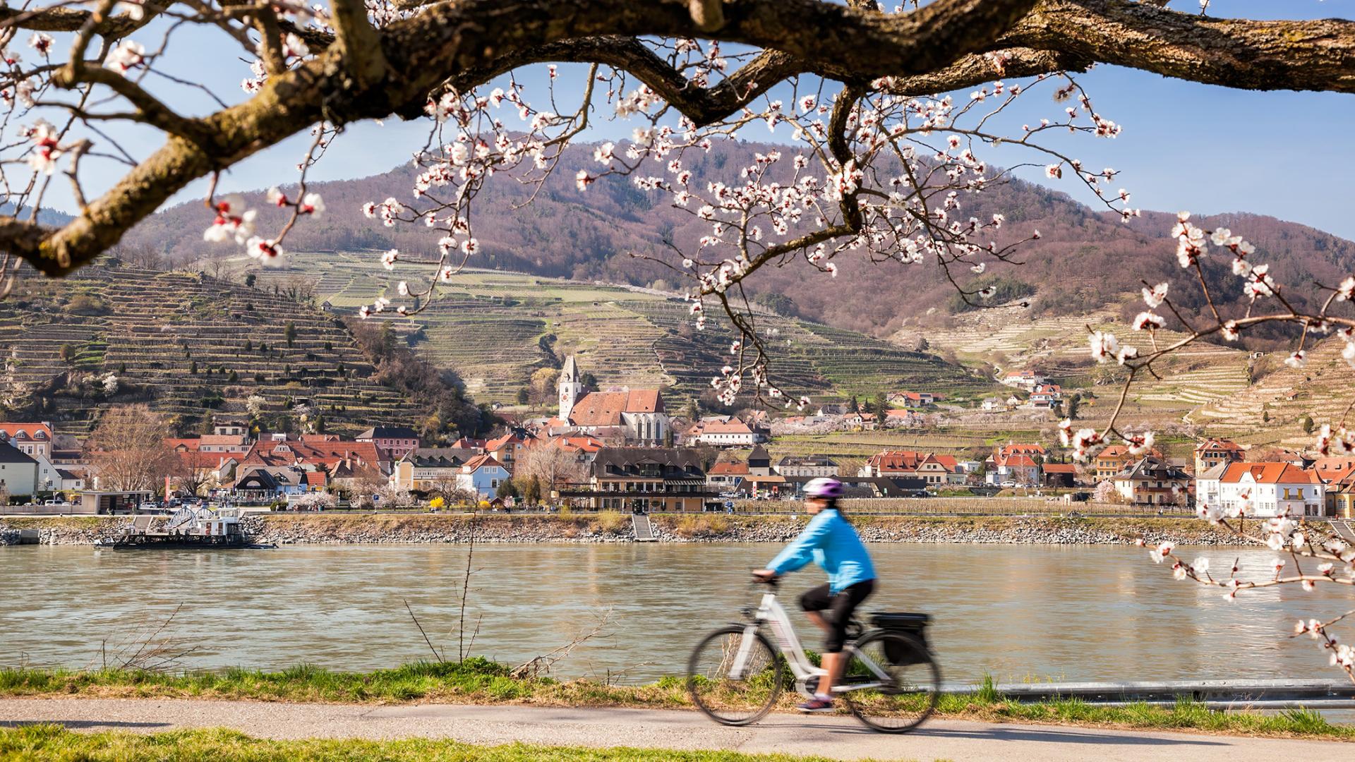 Woman on a bike near a lake