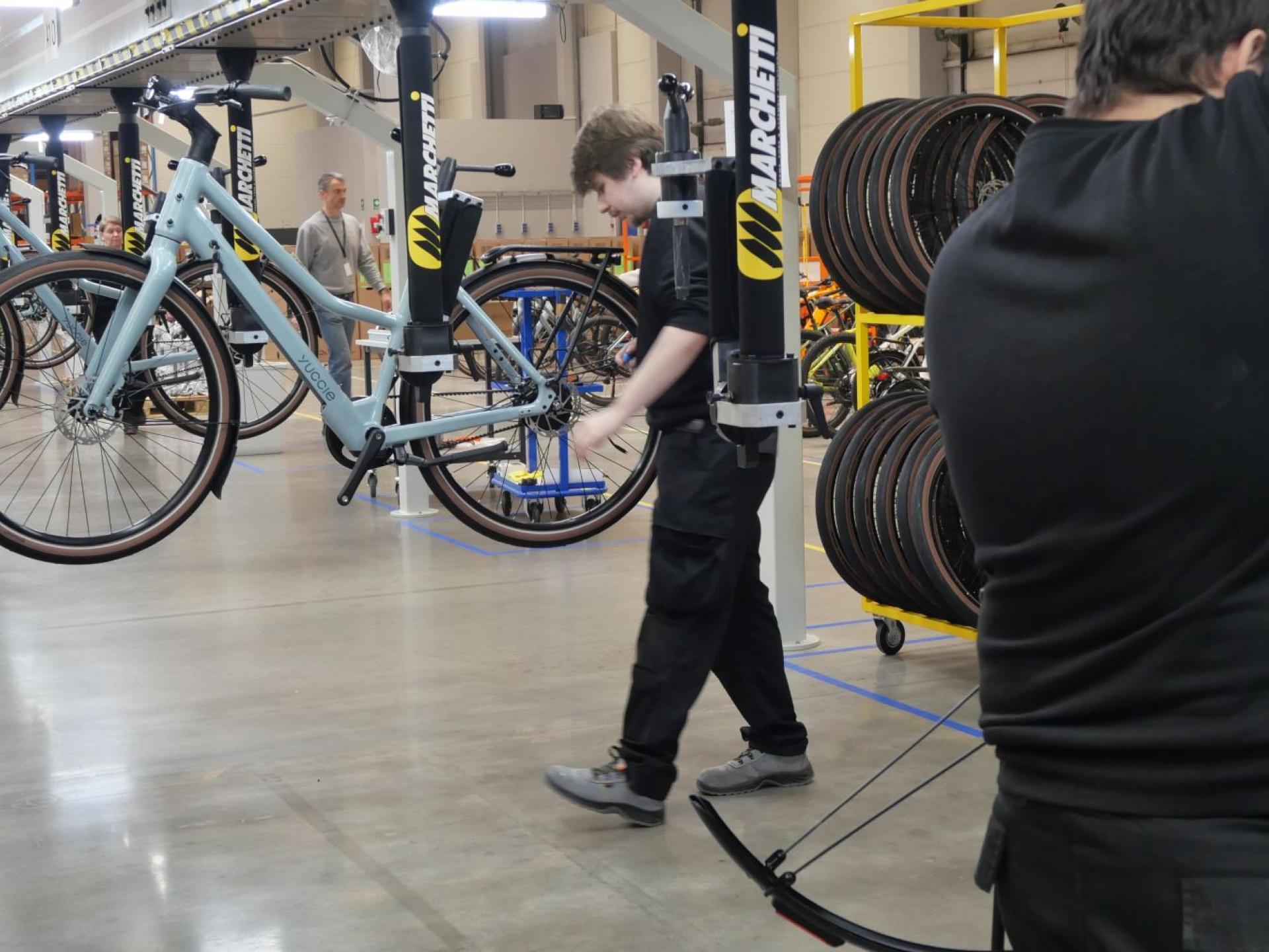 Bike mechanic Polana Bikes