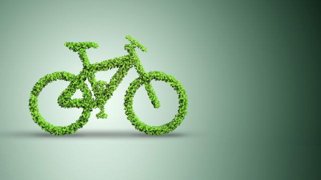 Bike covered with plants